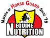 Horse Guard
