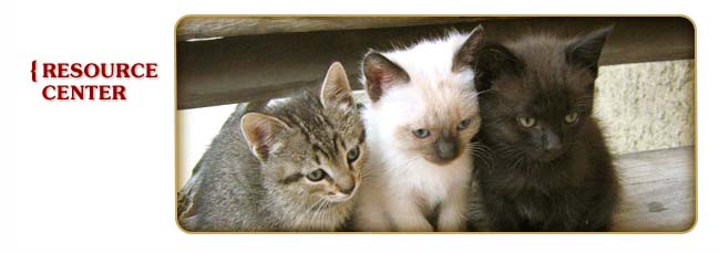 Aslin-Finch Cat Resource Center
