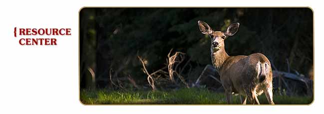 Aslin-Finch Outdoor Wildlife Resource Center