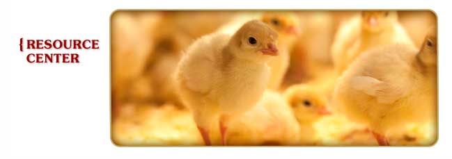 Aslin-Finch Poultry Resource Center